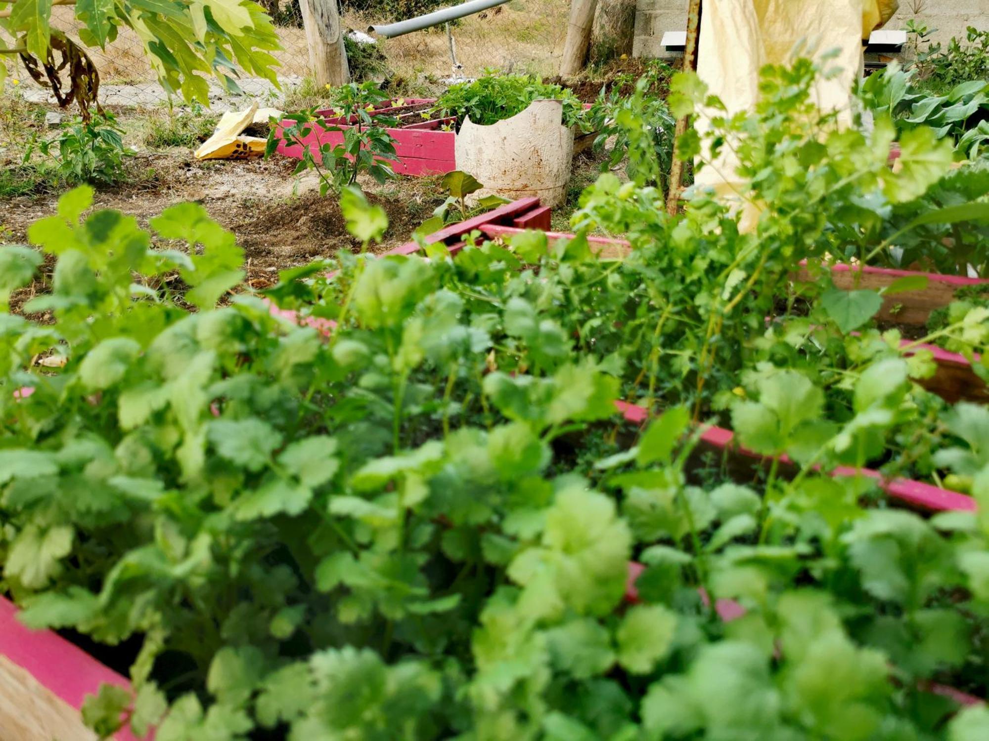 Panoramic Paradise La Ferme Luaran gambar